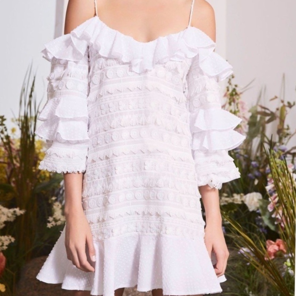Alexis Calypso Ruffle Mini Dress